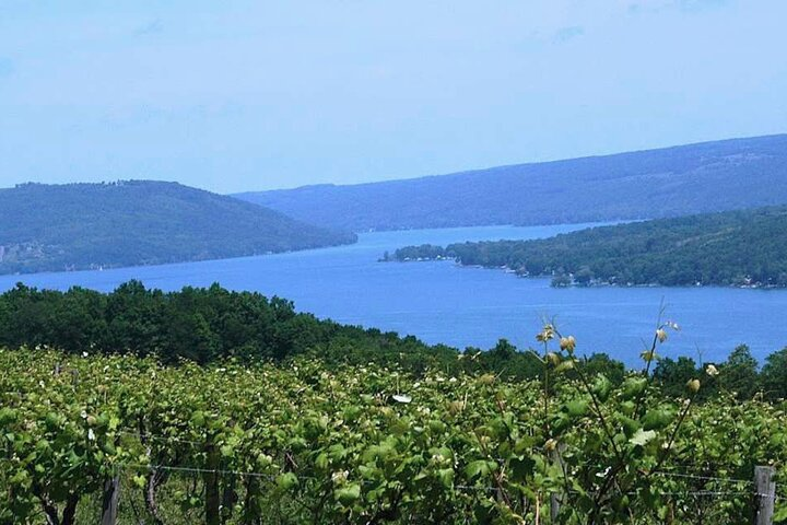 Keuka Lake Winery Tour - Photo 1 of 10